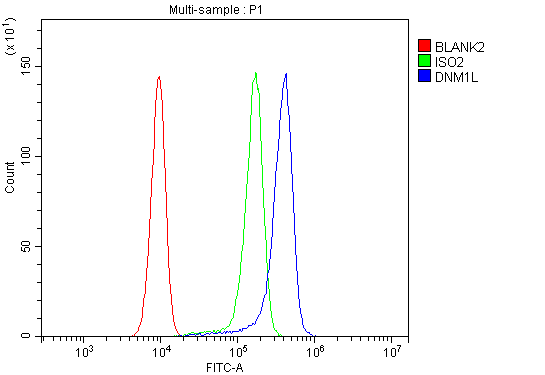 a00556 2 dnm1l primary antibodies fcm testing 13