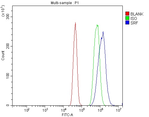 a00557 1 srf primary antibodies fcm testing 6