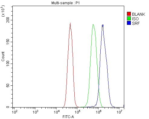 a00557 1 srf primary antibodies fcm testing 7