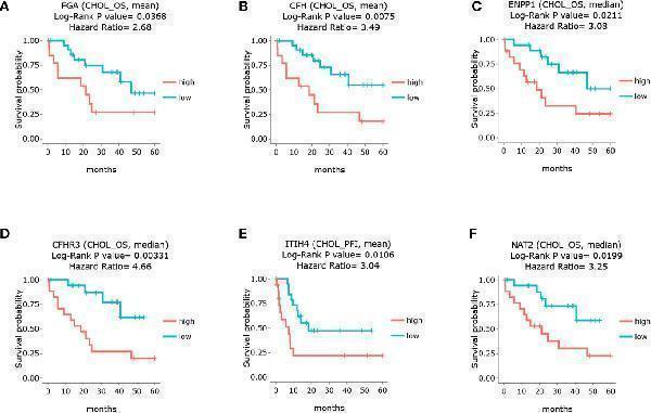 Survival analysis of the core genes in GBC patients through TCGA database