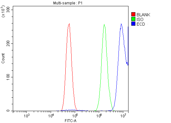 a00567 1 ecd primary antibodies fcm testing 2