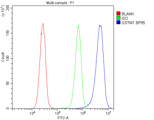 a00569 1 gstm1 primary antibodies fc testing 2