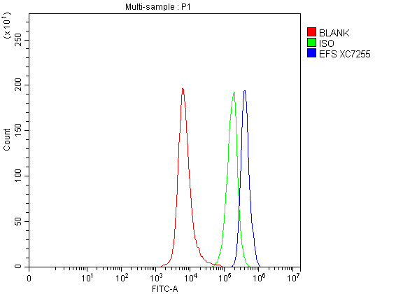 Flow Cytometry analysis of SH-SY5Y cells using anti-EFS antibody (A00572)