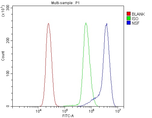 a00585 1 nsf primary antibodies fcm testing 11
