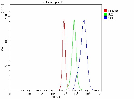  Flow Cytometry analysis of Caco-2 cells using anti-SCD antibody (A00588-2)