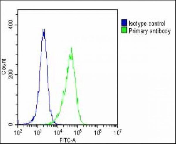 a00590 2 anti clu antibody n term fc testing 5