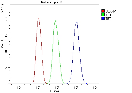 a00603 2 tet1 primary antibodies fcm testing 5