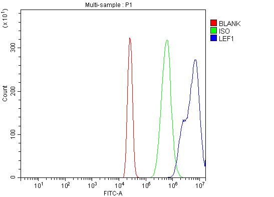 a00605 2 lef1 primary antibodies fcm testing 3