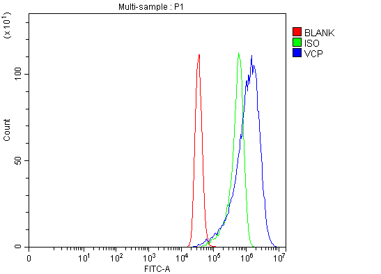 a00610 2 vcp primary antibodies fcm testing 5