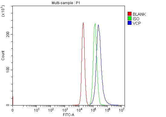 a00610 2 vcp primary antibodies fcm testing 7