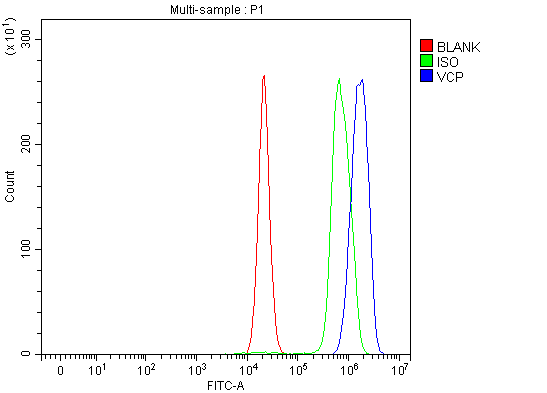 a00610 2 vcp primary antibodies fcm testing 8