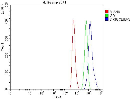 a00611 3 sirt6 primary antibodies fcm testing 3