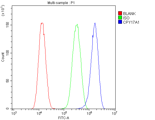  Flow Cytometry analysis of U87 cells using anti-CYP17A1 antibody (A00615-1)