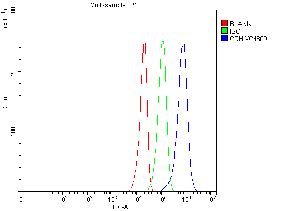  Flow Cytometry analysis of U251 cells using anti-CRF/CRH antibody (A00629-4)