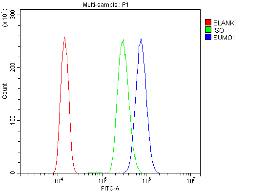 a00631 1 sumo1 primary antibodies fcm testing 7