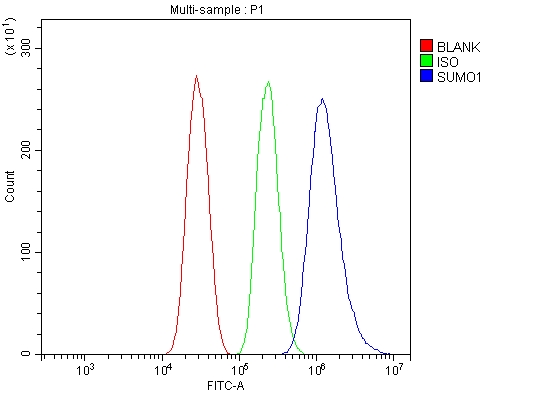 a00631 1 sumo1 primary antibodies fcm testing 8
