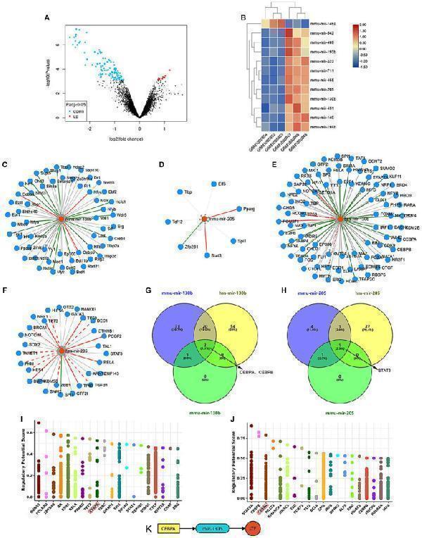 a00633 1 fnagi 16 1309115 g003