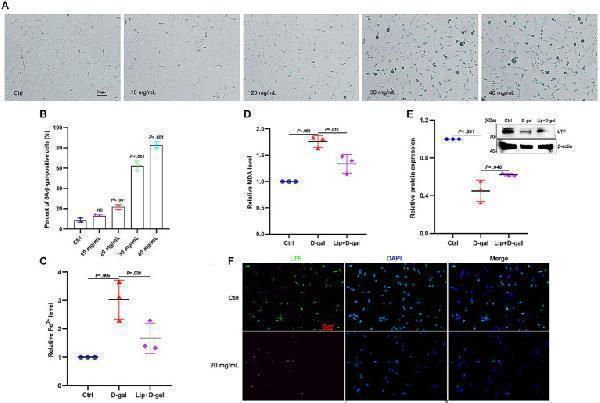 a00633 1 fnagi 16 1309115 g004