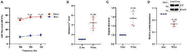 a00633 1 fnagi 16 1309115 g006