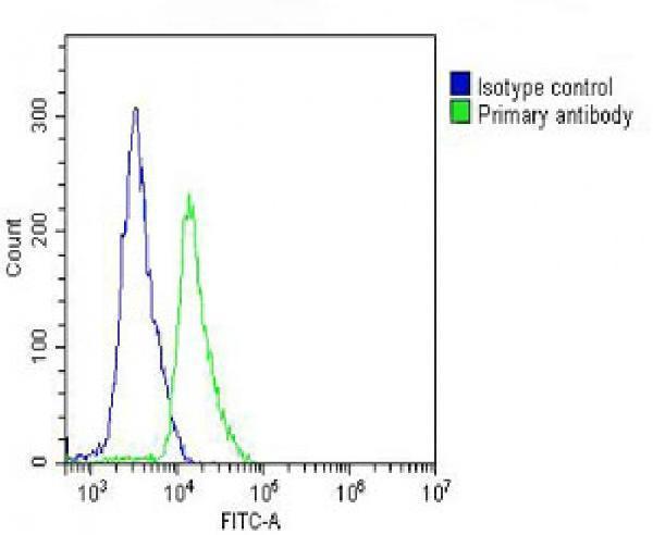 a00652 1 anti sell antibody c term fc testing 3