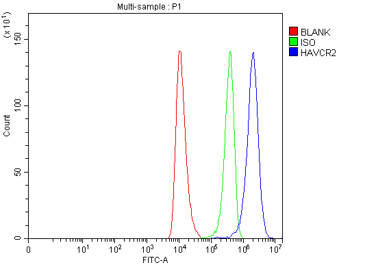  Flow Cytometry analysis of HEL cells using anti-TIM 3/HAVCR2 antibody (A00657-4)