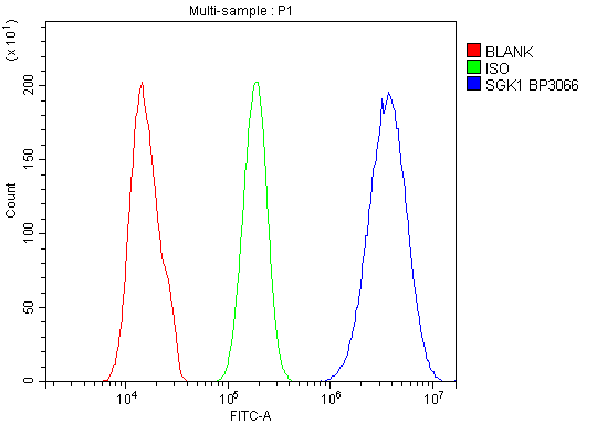 a00673 2 sgk1 primary antibodies fcm testing 5