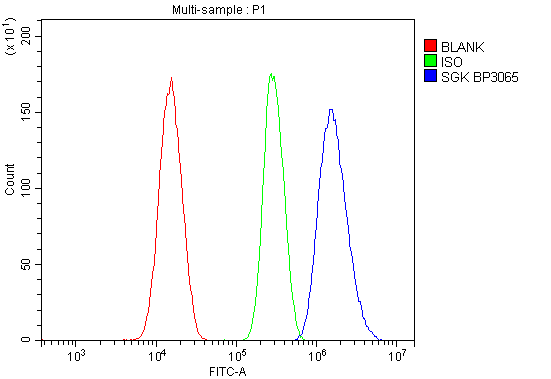 a00673 sgk1 primary antibodies fcm testing 2