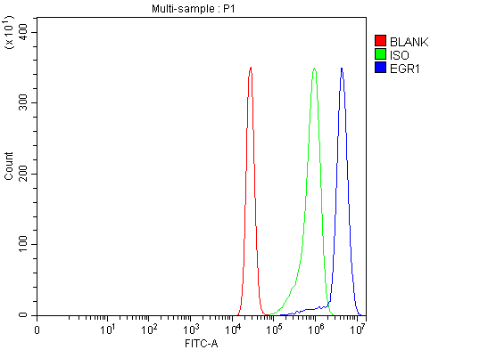  Flow Cytometry analysis of K562 cells using anti-EGR1 antibody (A00687-3)