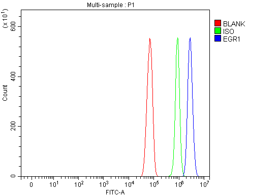 a00687 3 egr1 primary antibodies fcm testing 4