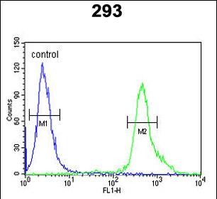 a00688 1 anti tp73 antibody center fc testing 4