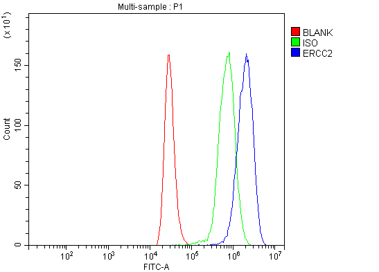 a00694 2 ercc2 primary antibodies fcm testing 5