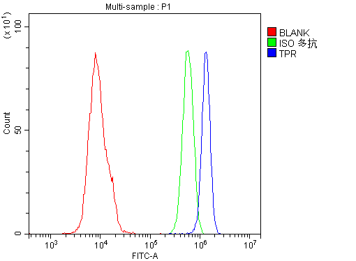 a00695 1 tpr primary antibodies fc testing 8
