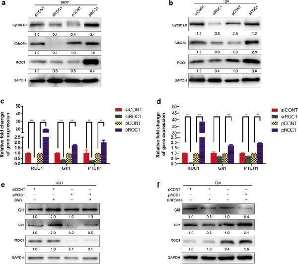 a00701 5 12935_2021_1775_fig2_html