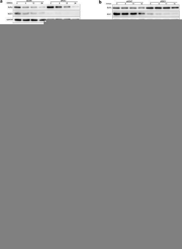 a00701 5 12935_2021_1775_fig4_html