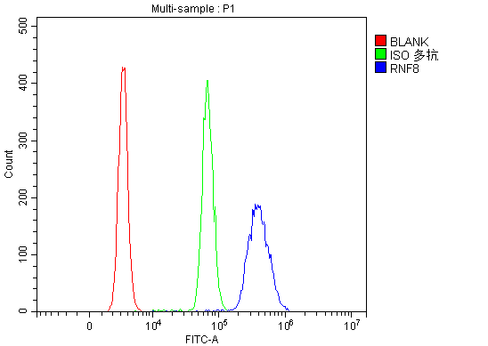 a00707 1 rnf8 primary antibodies fcm testing 2