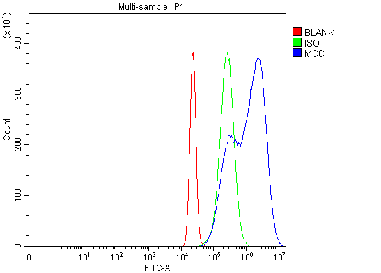  Flow Cytometry analysis of Hela cells using anti-MCC antibody (A00711-1)