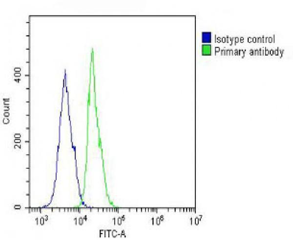 a00712 1 anti mcl1 antibody bh3 domain specific fc testing 4