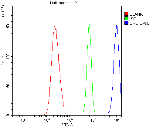Flow Cytometry analysis of U20S cells using anti-Emerin antibody (A00714). Overlay histogram showing U20S cells stained with A00714 (Blue line).The cells were blocked with 10% normal goat serum. And then incubated with rabbit anti-Emerin Antibody (A00714,1μg/1x106 cells) for 30 min at 20°C. DyLight®488 conjugated goat anti-rabbit IgG (BA1127, 5-10μg/1x106 cells) was used as secondary antibody for 30 minutes at 20°C. Isotype control antibody (Green line) was rabbit IgG (1μg/1x106) used under the same conditions. Unlabelled sample (Red line) was also used as a control