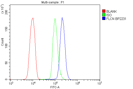 a00718 1 flcn primary antibodies fc testing 3