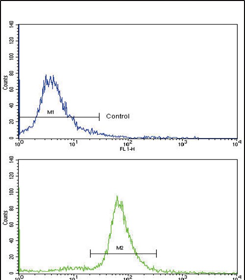 Flow cytometric analysis of ATDC5 cells using OTC Antibody (Center)(bottom histogram) compared to a negative control (top histogram)