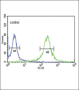 a00727 anti klf5 antibody c term fc testing 4