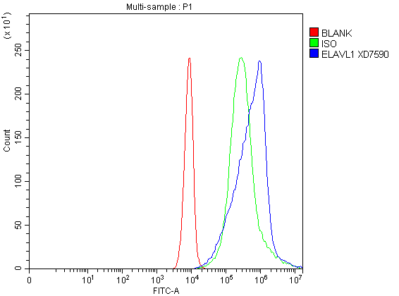 a00736 1 elavl1 primary antibodies fcm testing 1
