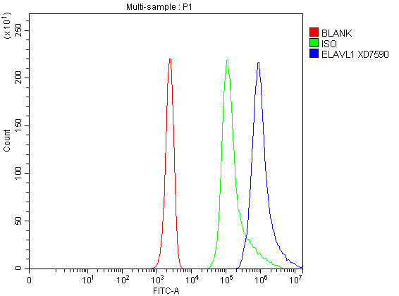a00736 1 elavl1 primary antibodies fcm testing 2