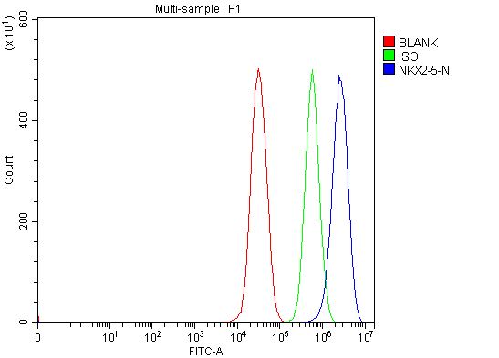 a00738 2 nkx2 5 primary antibodies fcm testing 3