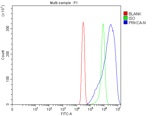  Flow Cytometry analysis of SiHa cells using anti-PKC Alpha/PRKCA antibody (A00743-1)