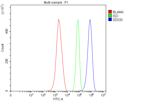 a00751 1 ddx3 primary antibodies fcm testing 4