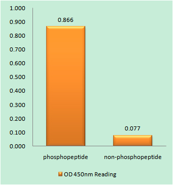 a00754y493 zap70 primary antibodies elisa testing 1