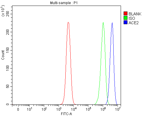  Flow Cytometry analysis of SH-SY5Y cells using anti-ACE2 antibody (A00756-3)