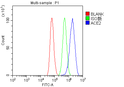  Flow Cytometry analysis of HepG2 cells using anti-ACE2 antibody (A00756-4)