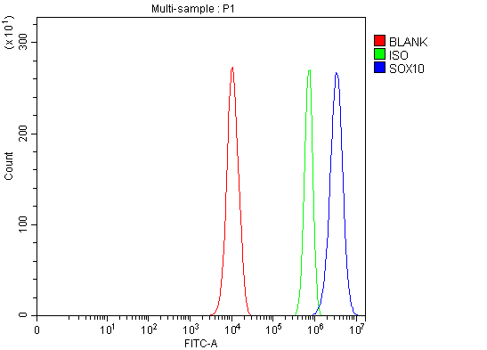 a00758 3 sox10 primary antibodies fcm testing 3